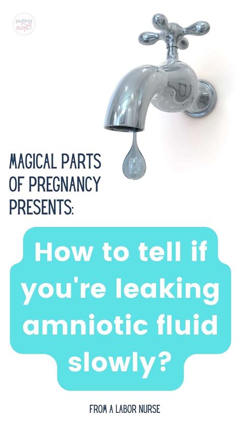 how to tell if leaking amniotic fluid|3 Ways to Identify an Amniotic Fluid Leak